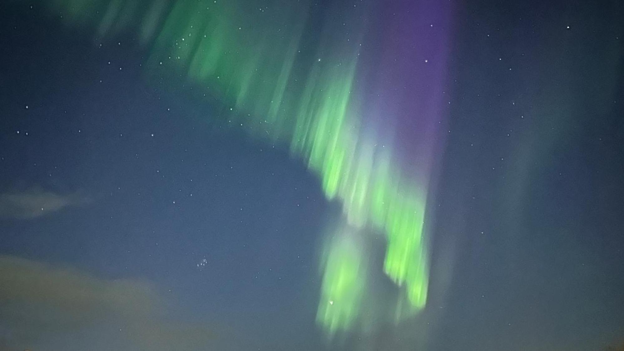 Koselig Hus Til Leie Pa Stokmarknes I Vesteralen Daire Dış mekan fotoğraf